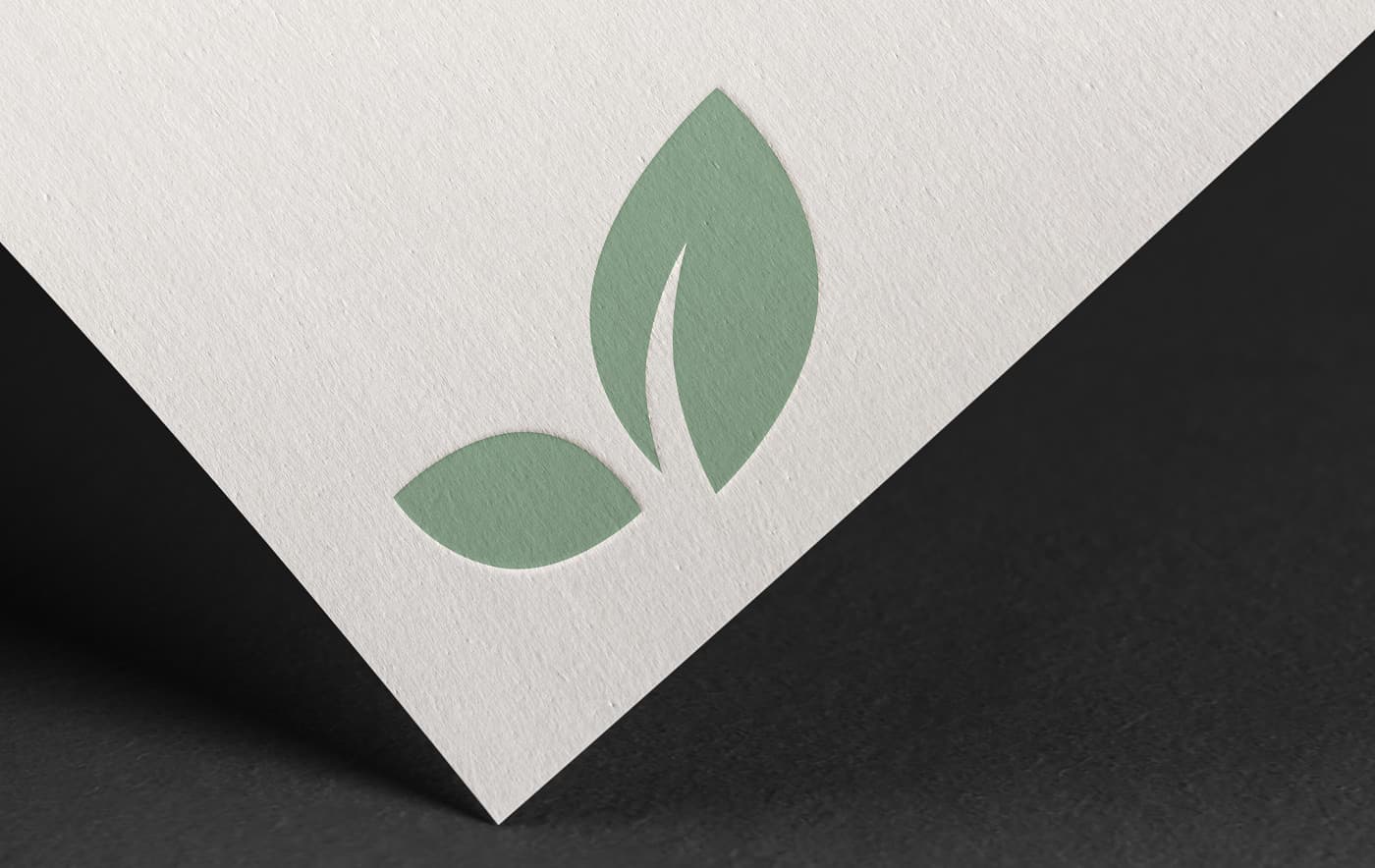 EvoCan Naturheilkunde 3