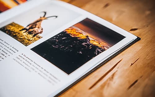 Book 2