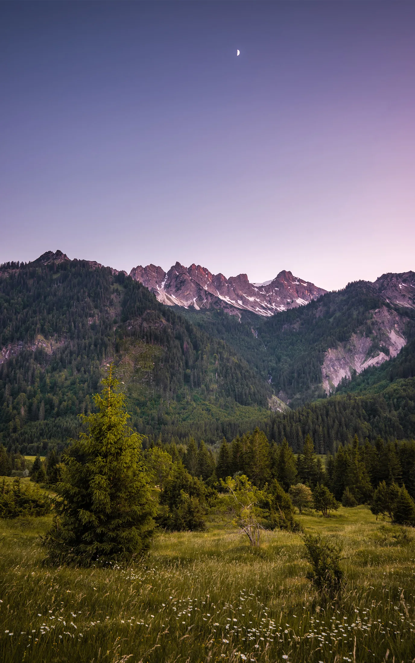 Allgäu 3