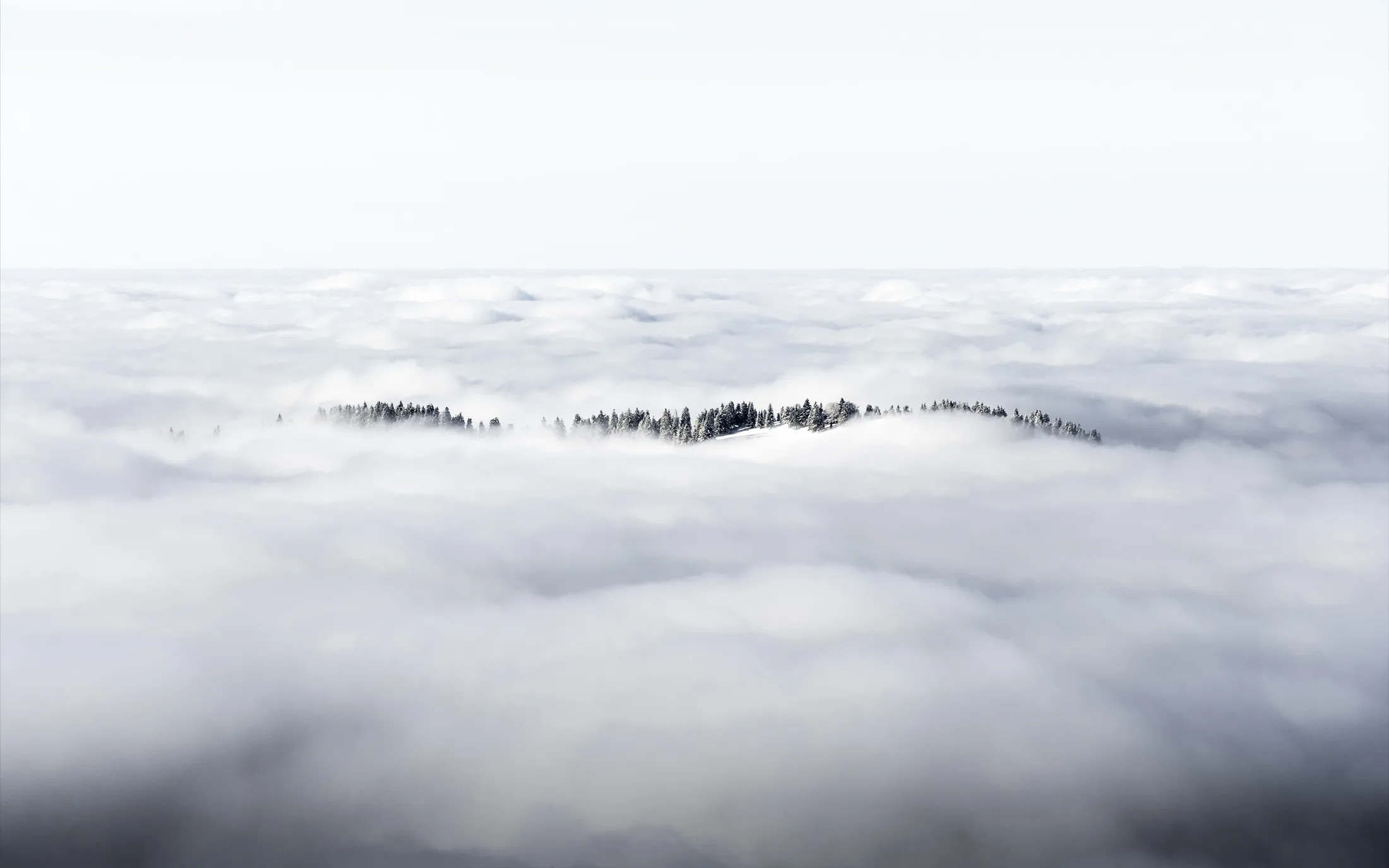 Allgäu 6