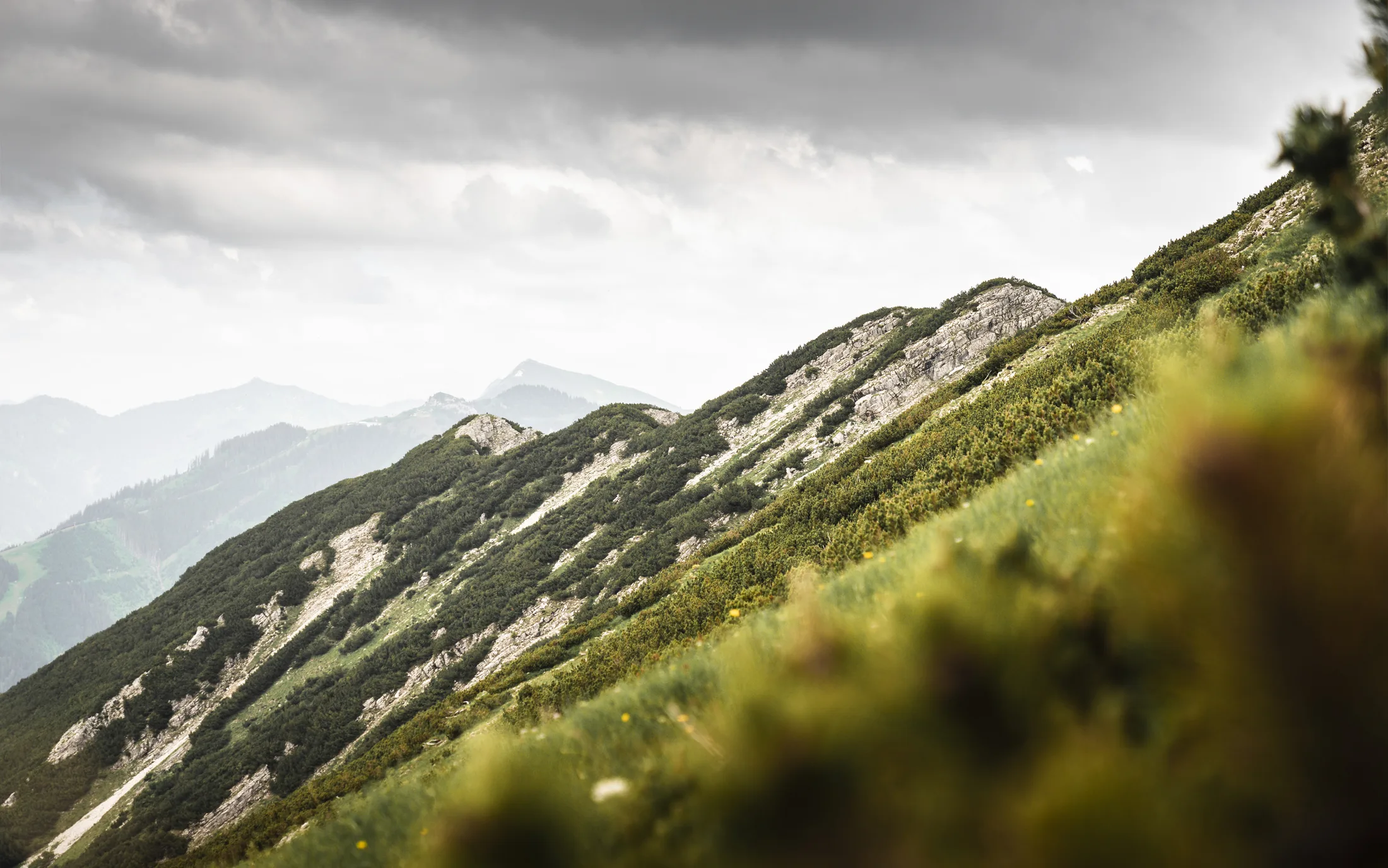 Allgäu 8