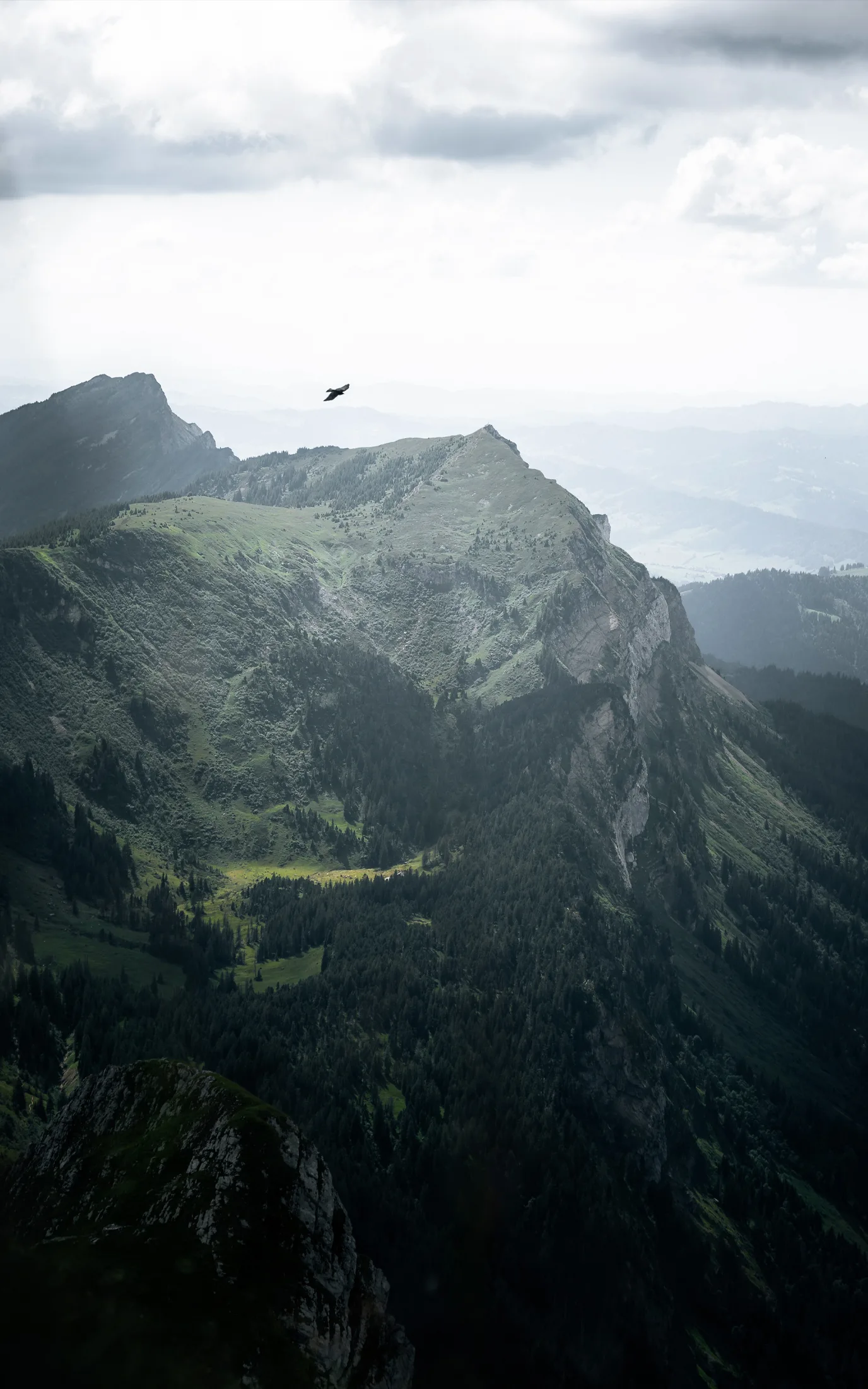 Emmental 2