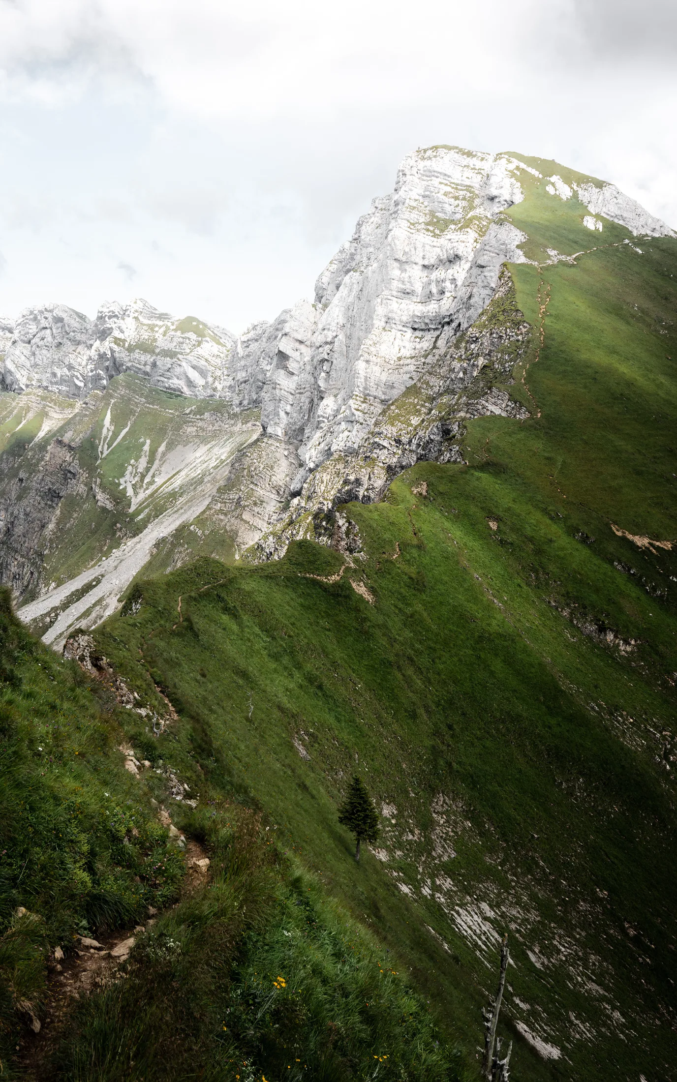 Emmental 3