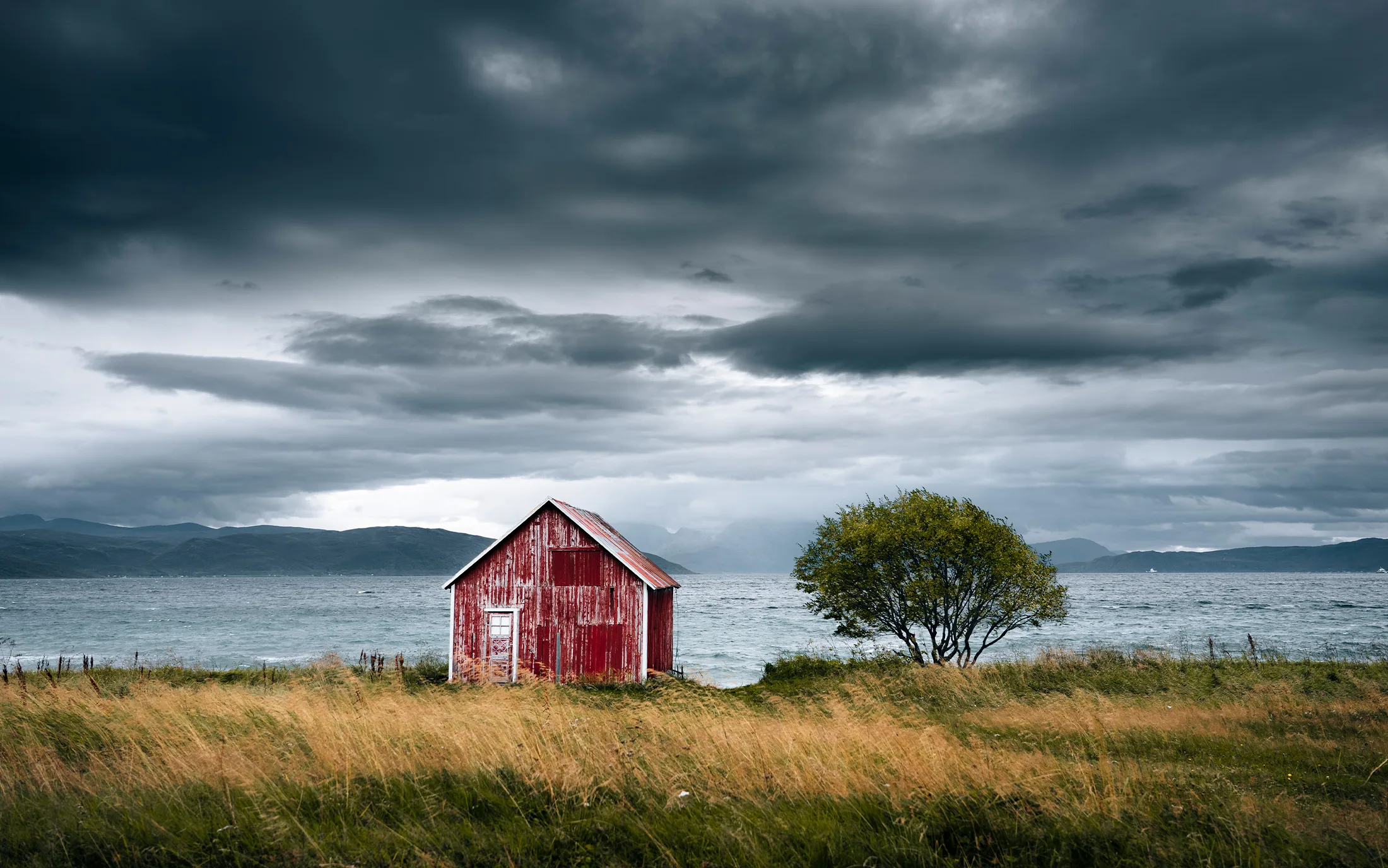 Lofoten 6