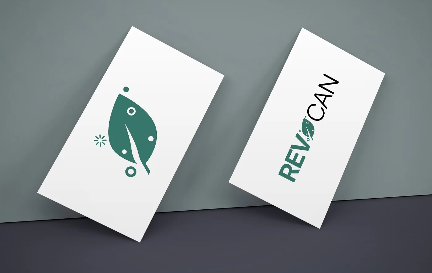 RevoCan Patient Portal 2